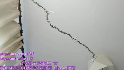 Snapshot of rileynymph chatting on May 21, 3:24 am My name is Riley Like my broadcast pls 3 online show from May 21, 3:24 am