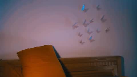 Rita online show from February 14, 7:38 am