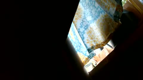 riskyjizznessss online show from December 31, 4:46 pm