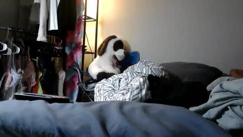 Snapshot of riversaint chatting on March 11, 11:04 pm River Saint online show from March 11, 11:04 pm