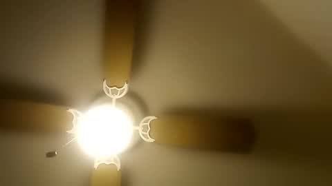 Snapshot of robertsaiz4200 chatting on December 20, 8:49 pm robertsaiz4200 online show from December 20, 8:49 pm