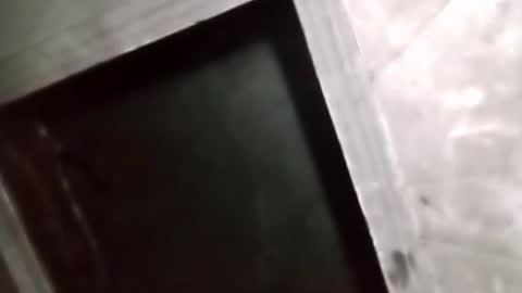 R online show from February 5, 2:05 am