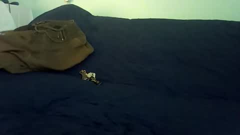 Mr. Red online show from February 25, 10:19 pm