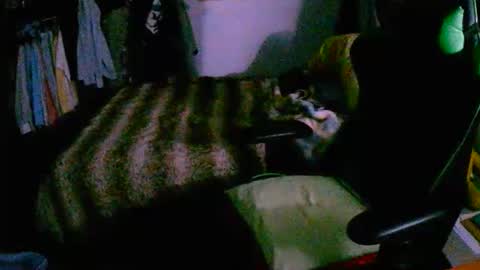 roktero 90 online show from December 16, 8:03 pm