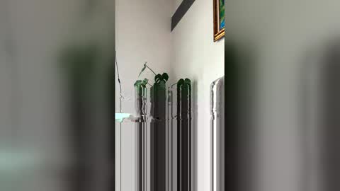 Snapshot of ronihall chatting on March 29, 6:08 pm Roni Hall online show from March 29, 6:08 pm