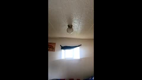 Snapshot of ronnieprovost996 chatting on May 22, 11:21 pm ronnieprovost996 online show from May 22, 11:21 pm