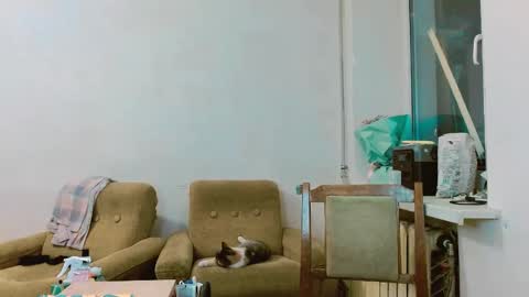 Snapshot of rosa843850 chatting on February 28, 1:47 pm rosa843850 online show from February 28, 1:47 pm