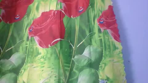 Snapshot of rosah225127 chatting on April 14, 2:28 am rosah225127 online show from April 14, 2:28 am