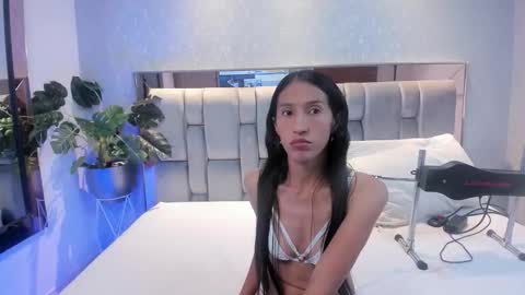 Rose online show from November 4, 4:44 am