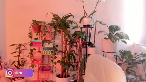 Im Ross   online show from October 24, 7:43 pm