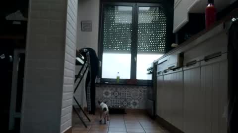 Snapshot of ruan8080 chatting on February 1, 10:48 am petit cochon online show from February 1, 10:48 am