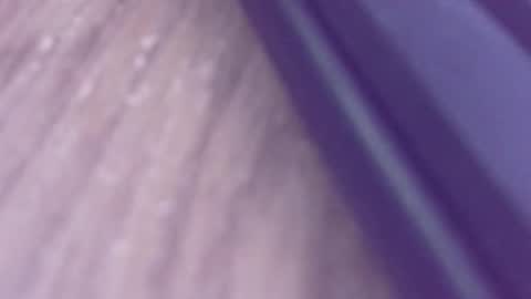 Snapshot of rudiandhisdick chatting on March 26, 1:17 pm rudiandhisdick online show from March 26, 1:17 pm