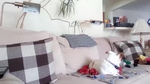 Rusty online show from March 8, 6:58 pm