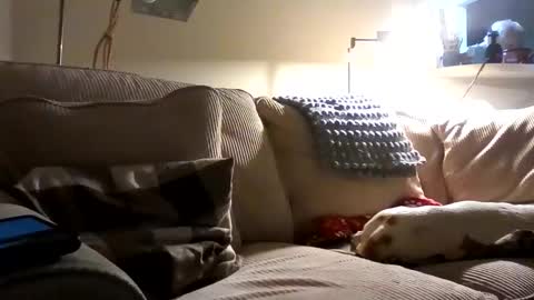 Rusty online show from October 2, 1:34 am