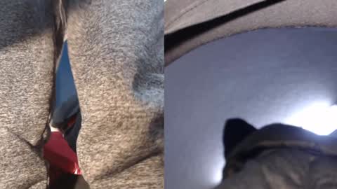 Snapshot of ryushi009 chatting on January 21, 5:38 am Ryushi009 online show from January 21, 5:38 am