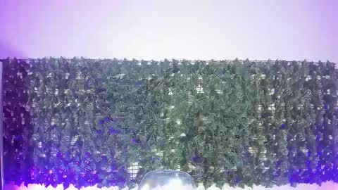 Sabina Merchetti online show from March 17, 12:26 am