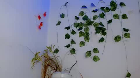 SABRI online show from April 4, 3:09 pm