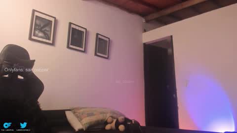 sai online show from January 14, 11:31 pm