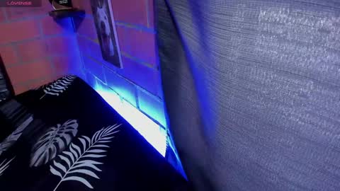 sainix_ online show from January 4, 9:41 pm