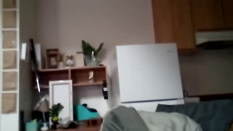 salis1981 online show from November 12, 6:08 pm