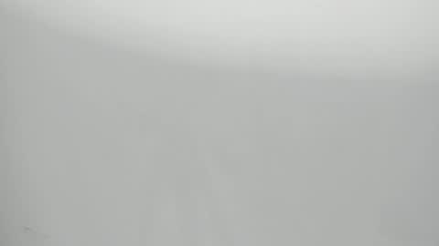 SALVATORE online show from January 29, 11:09 am