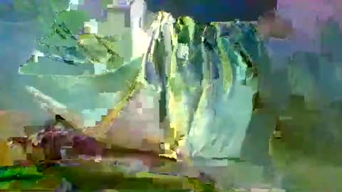 Snapshot of sam223382879 chatting on December 27, 10:59 pm sam223382879 online show from December 27, 10:59 pm