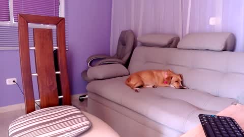 sam online show from December 2, 4:31 pm