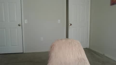 samanthaporsha online show from September 15, 1:55 pm