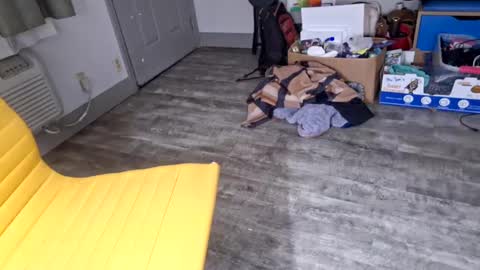 Snapshot of samboiamtho chatting on January 3, 6:11 am samboiamtho online show from January 3, 6:11 am