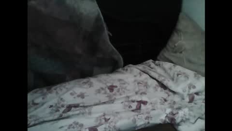 Snapshot of samedisamedi1nouveau chatting on March 7, 10:12 am Samedisamedi1nouveau online show from March 7, 10:12 am