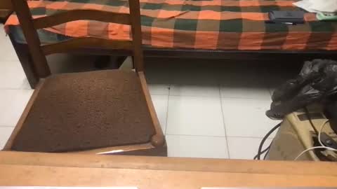 Snapshot of samhotbbc7 chatting on October 19, 12:33 am samhotbbc7 online show from October 19, 12:33 am