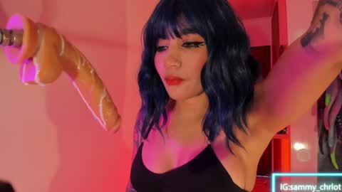 Sammy online show from April 7, 7:36 pm