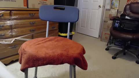 Snapshot of sammyduz2 chatting on November 3, 2:29 pm Sammy online show from November 3, 2:29 pm