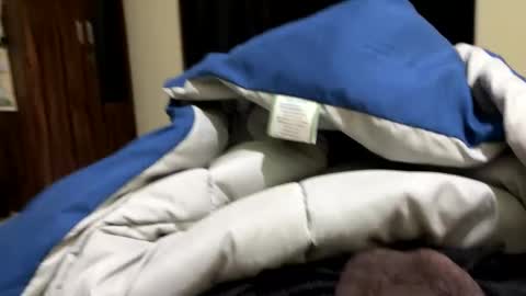 samnivin online show from December 1, 7:19 pm