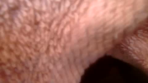 samueltal online show from February 21, 9:21 am