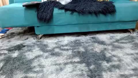 sarita_klein online show from November 8, 3:34 pm