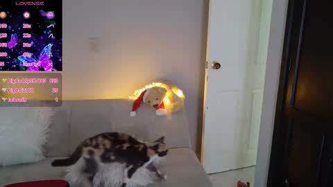 Saritha online show from March 22, 2:09 pm