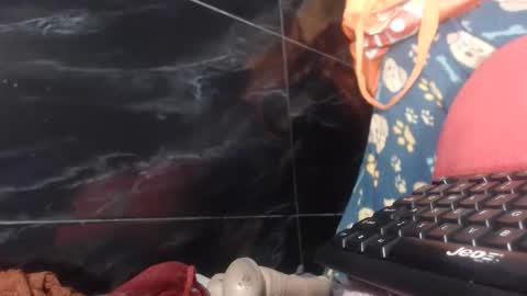 sasha online show from February 2, 8:24 am