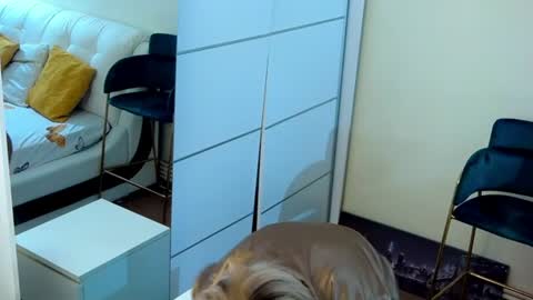 Snapshot of sashavaughn chatting on July 13, 5:49 pm Sasha online show from July 13, 5:49 pm