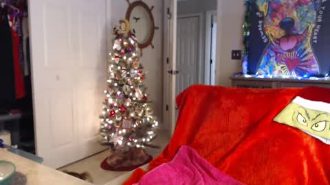 Trish online show from January 1, 7:41 am