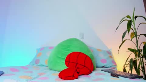     online show from November 19, 8:14 am