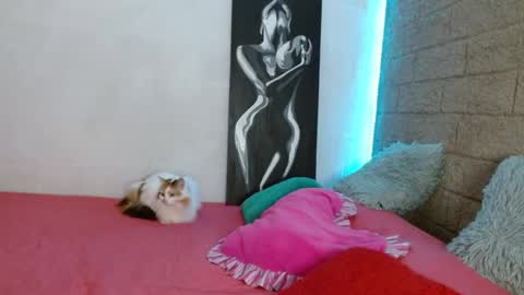 Sativa online show from December 13, 4:05 pm