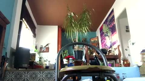 satur850 online show from December 5, 9:17 am