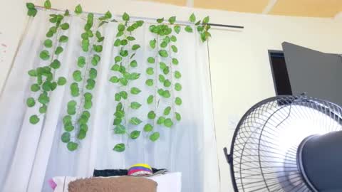 savory_pussy18 online show from March 19, 11:47 am