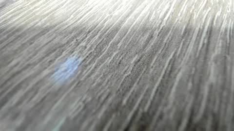 sayo_mao18 online show from March 17, 1:54 am