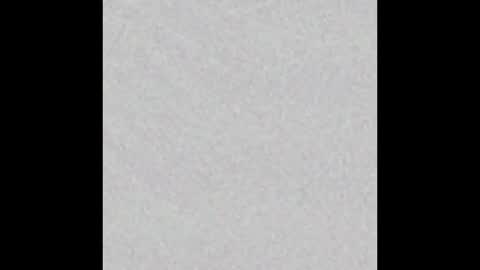 Venus online show from November 23, 2:50 pm