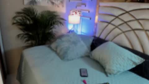 scarlet hill online show from January 12, 2:03 am