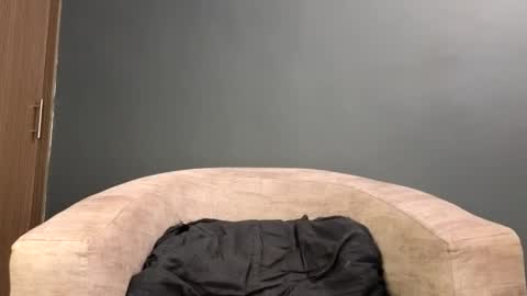 scarlett_is_here online show from April 19, 1:38 am