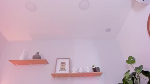 Scarlett Morgan online show from February 15, 12:15 am