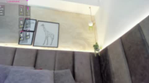 Scarlett online show from January 24, 8:23 am